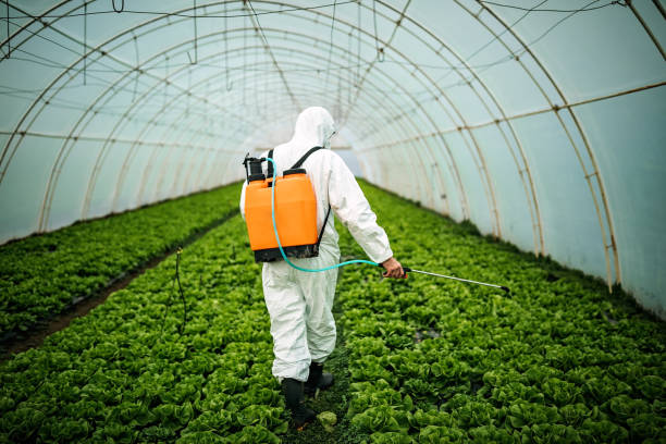 Best Pest Prevention Services  in Oskaloosa, IA