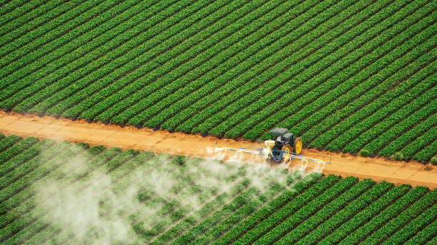 Pest Prevention Services in Oskaloosa, IA