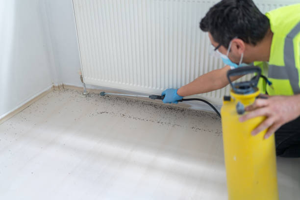 Trusted Oskaloosa, IA Pest Control Experts