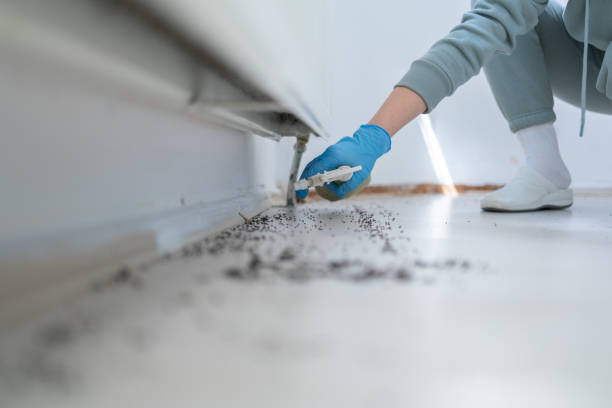 Pest Control for Restaurants in Oskaloosa, IA